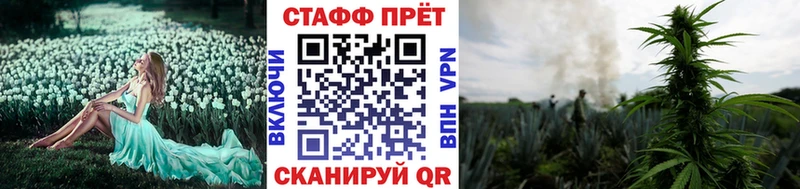 Бошки Шишки Кандалакша