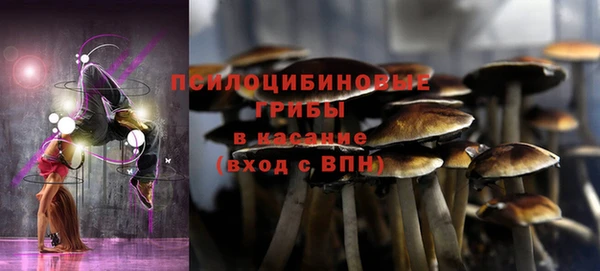 мяу мяу мука Богданович