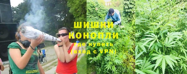 молекула духа Богородск