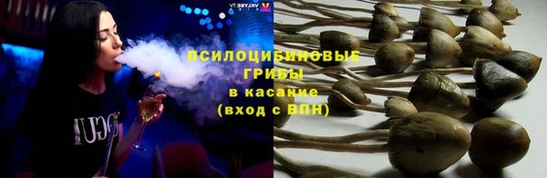 молекула духа Богородск