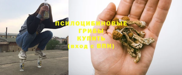 молекула духа Богородск