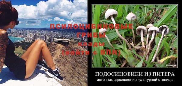 молекула духа Богородск