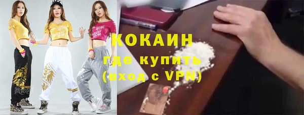 молекула духа Богородск