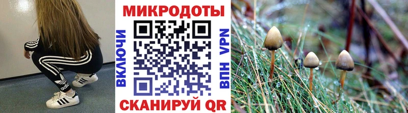 Купить  Кандалакша  Галлюциногенные грибы ЛСД 